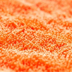 Dhydrate Bold 70x90cm
