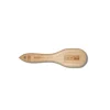Hood and Upholstery Brush